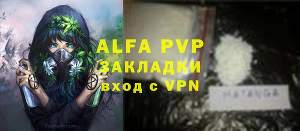 сатива Вязьма