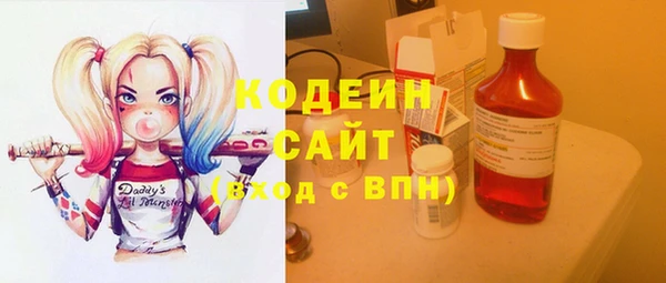 герыч Вяземский