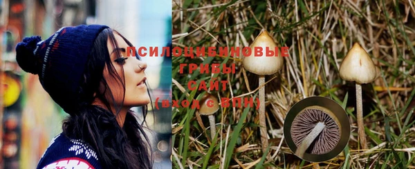 герыч Вяземский