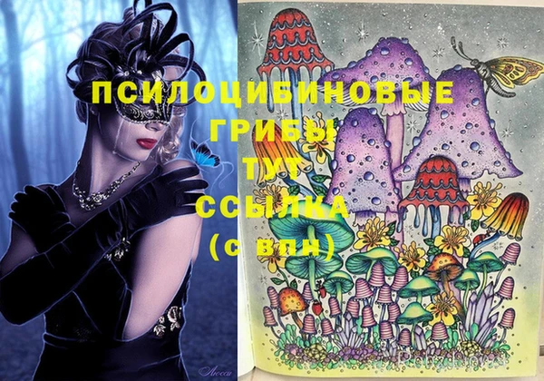 гидропоника Вязники