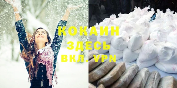 сатива Вязьма