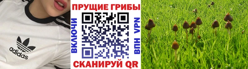 Галлюциногенные грибы Cubensis  Ангарск 
